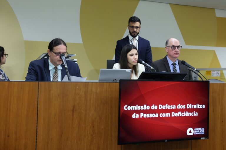 Imagem comissão PCD